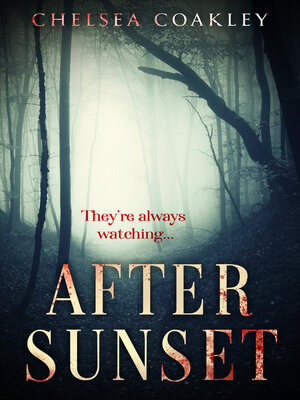 cover image of After Sunset